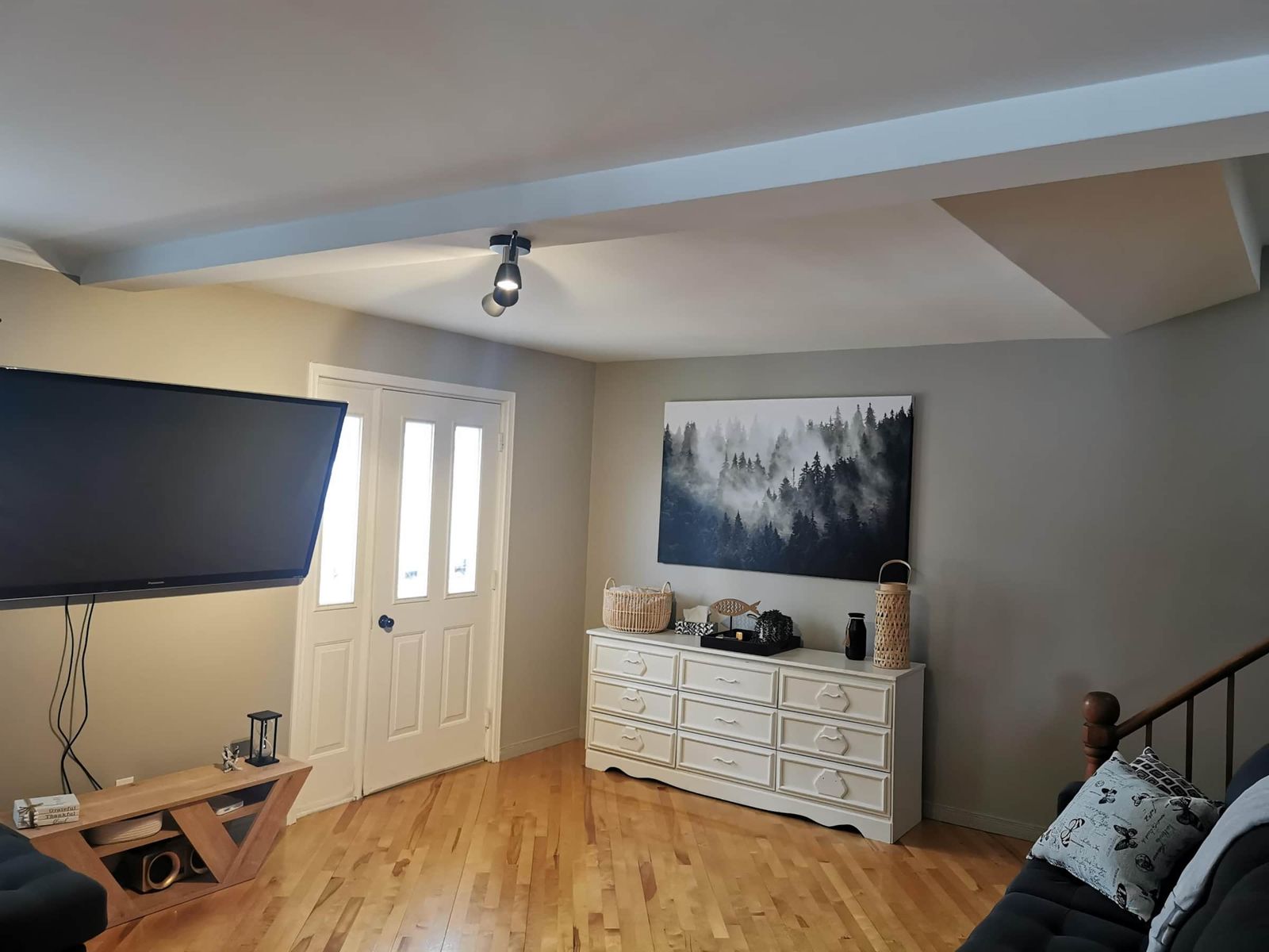 Coin TV avec entrée principale et tableau de forêt brumeuse