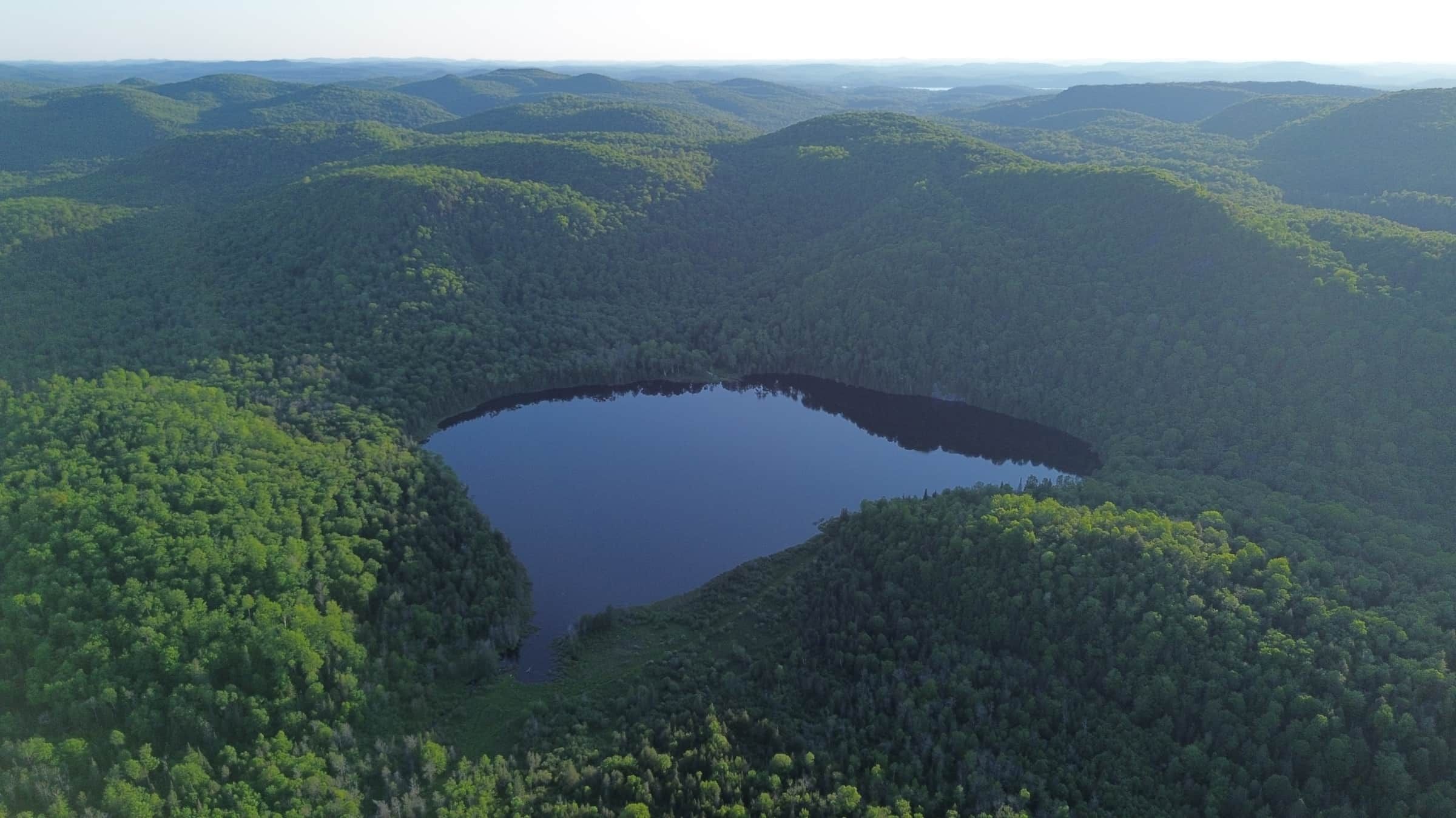 Vue aérienne du domaine et du lac privé en été