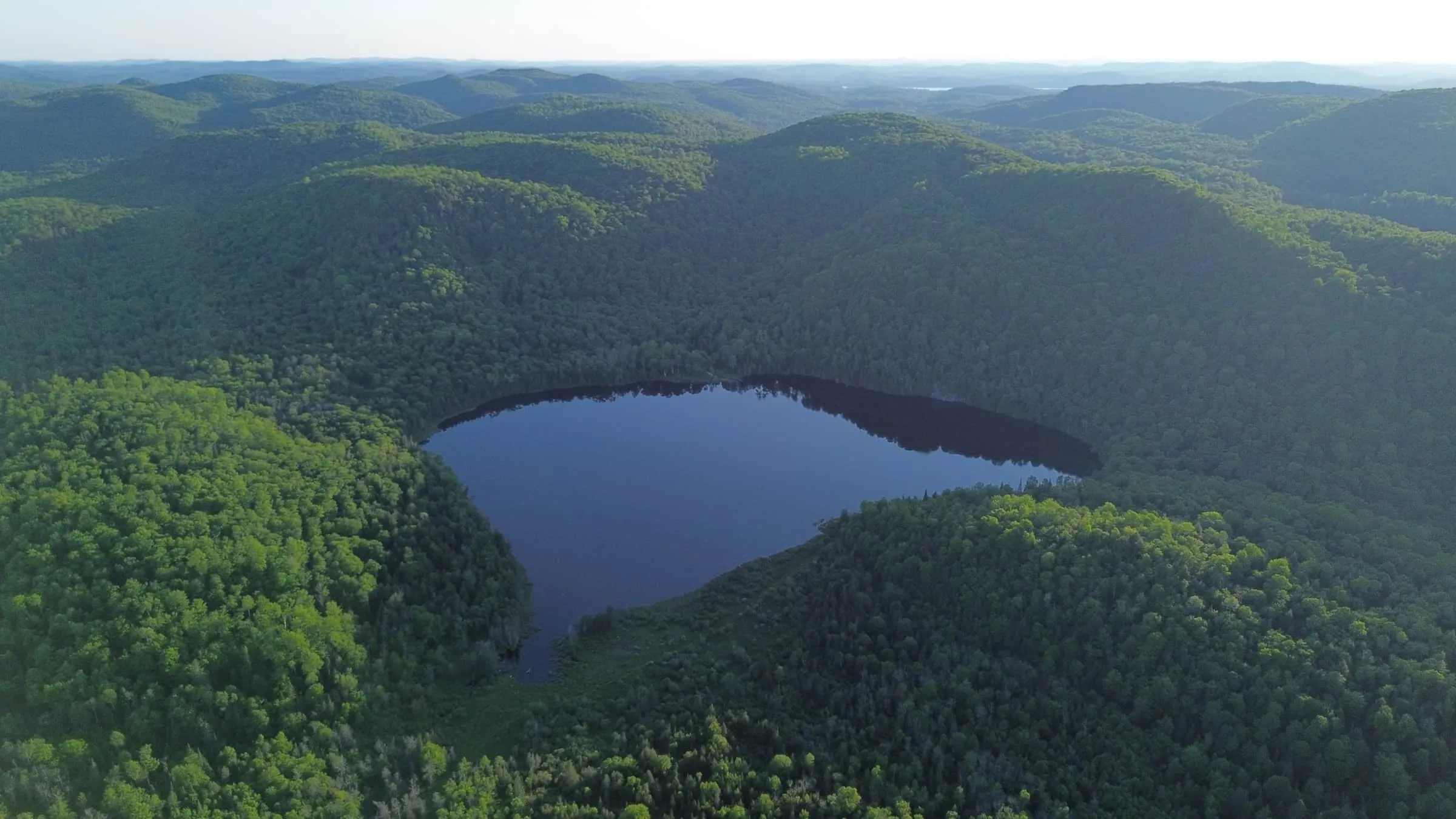 Vue aérienne du domaine en été