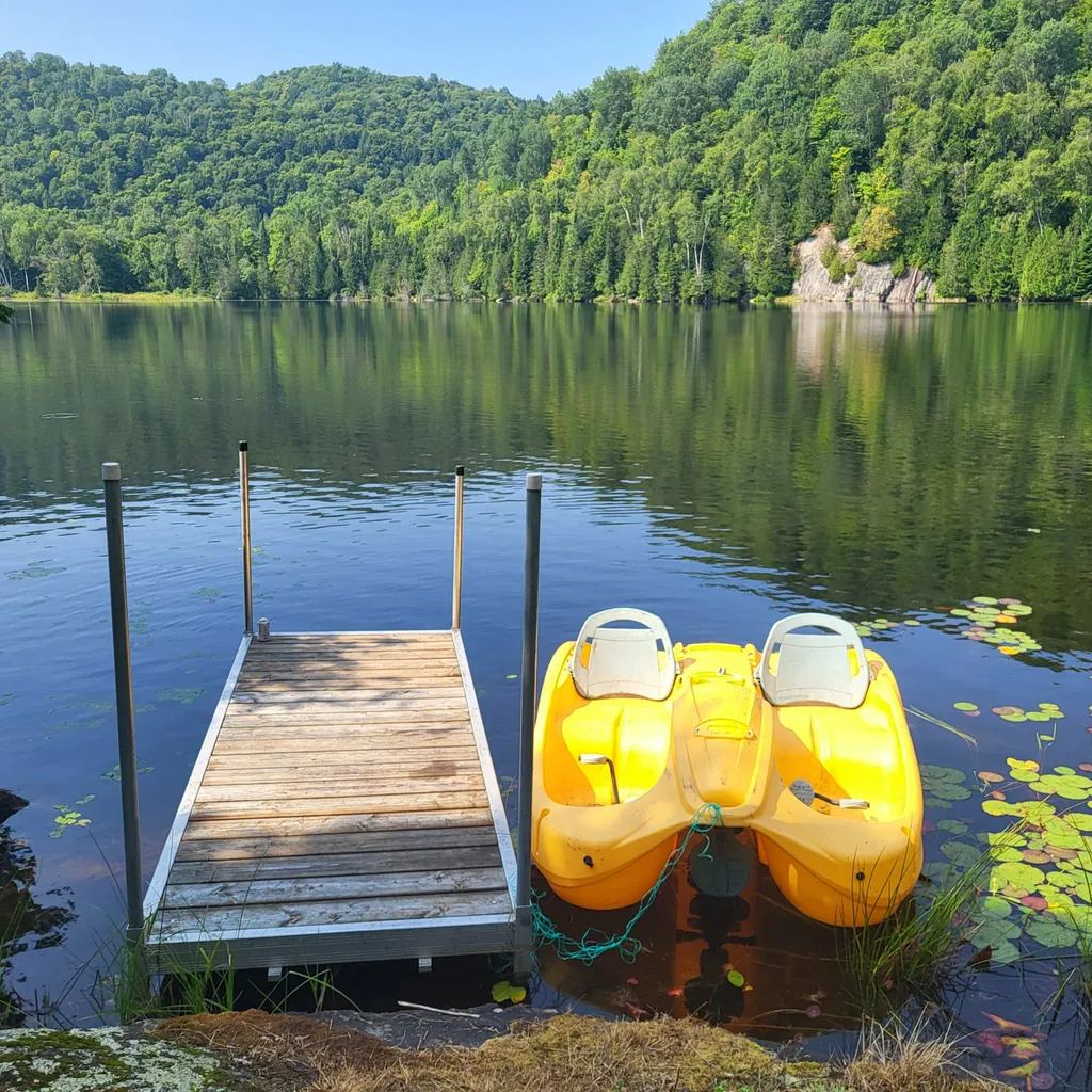 Le quai du lac privé avec pédalo jaune en été