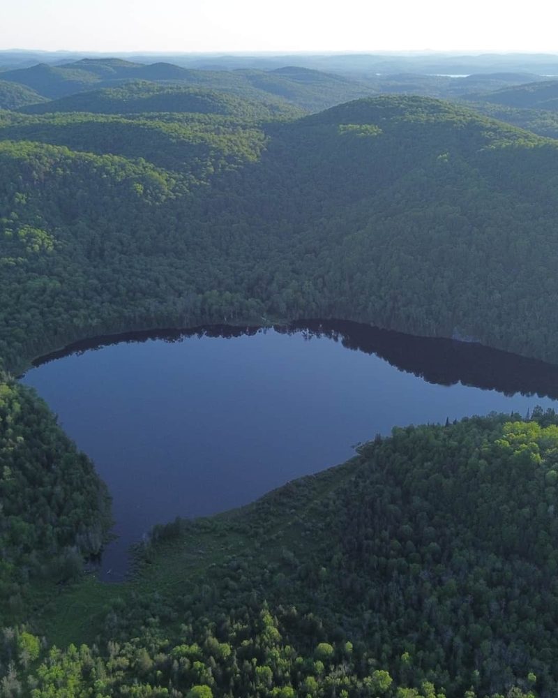 Paysage d'été dans les Laurentides